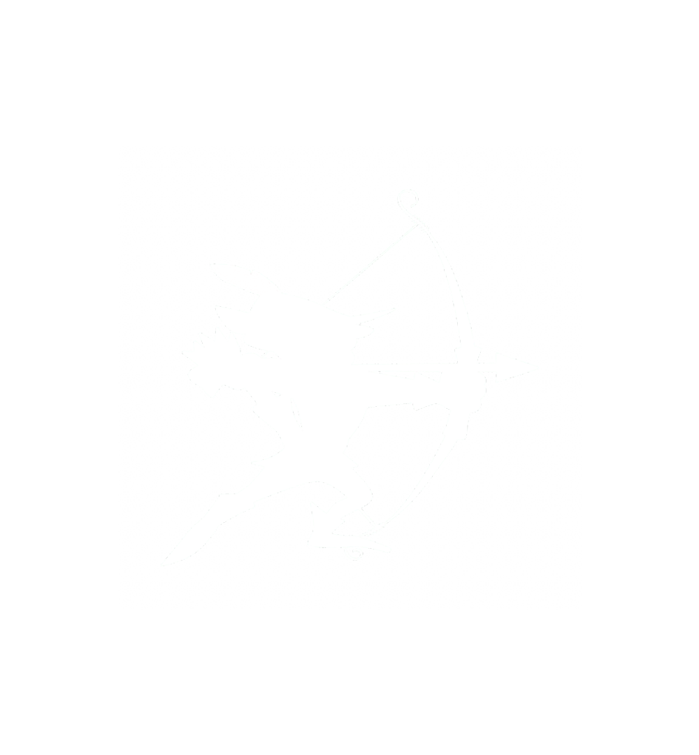 Robinhood Army